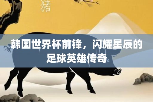 韩国世界杯前锋，闪耀星辰的足球英雄传奇金炬实业股份有限公司