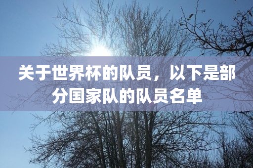 关于世界杯的队员，以下是部分国家队的队员名单金炬实业股份有限公司