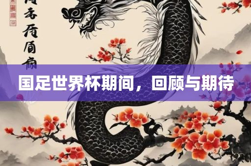 国足世界杯期间，回顾与期待