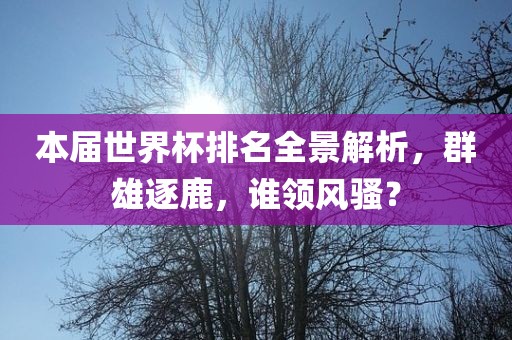 本届世界杯排名全景解析，群雄逐鹿，谁领风骚？