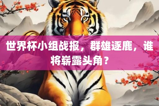 世界杯小组战报，群雄逐鹿，谁将崭露头角？