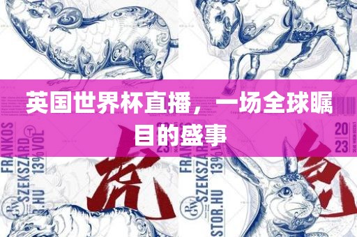 英国世界杯直播，一场全球瞩目的盛事