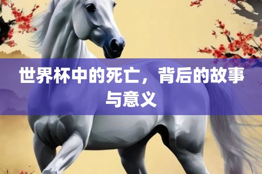 世界杯中的死亡，背后的故事与意义