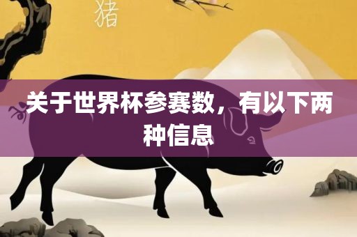 关于世界杯参赛数，有以下两种信息金炬实业股份有限公司