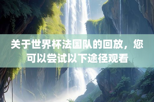 关于世界杯法国队的回放，您可以尝试以下途径观看金炬实业股份有限公司