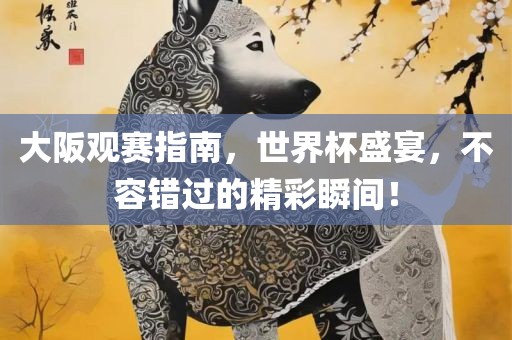 大阪观赛指南，世界杯盛宴，不容错过的精彩瞬间！