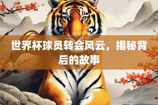 世界杯球员转会风云，揭秘背后的故事金炬实业股份有限公司