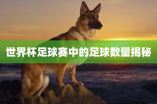 世界杯足球赛中的足球数量揭秘