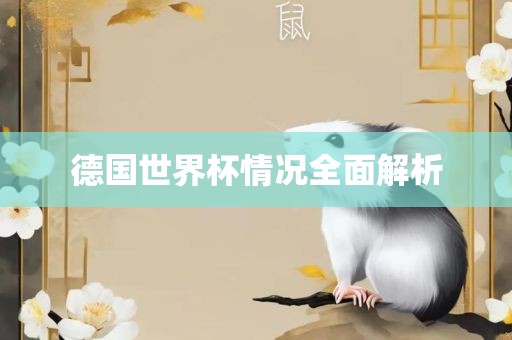 德国世界杯情况全面解析