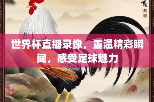 世界杯直播录像，重温精彩瞬间，感受足球魅力金炬实业股份有限公司
