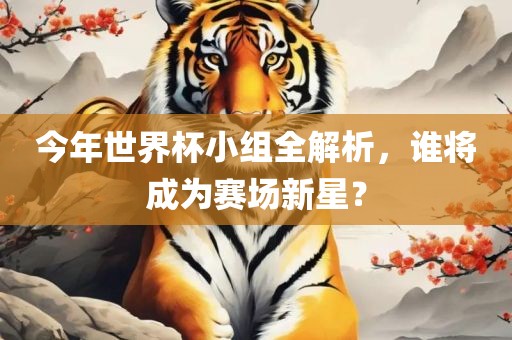 今年世界杯小组全解析，谁将成为赛场新星？