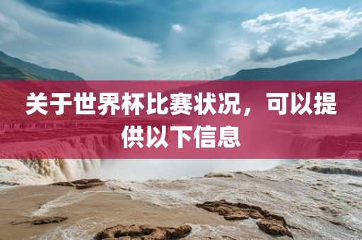 关于世界杯比赛状况，可以提供以下信息