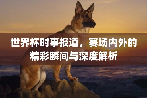 xinyu 第6页
