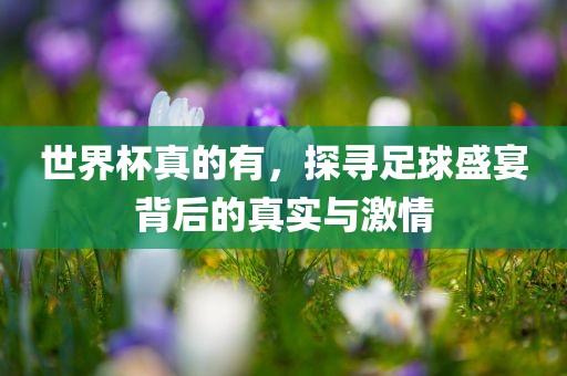 世界杯真的有，探寻足球盛宴背后的真实与激情金炬实业股份有限公司