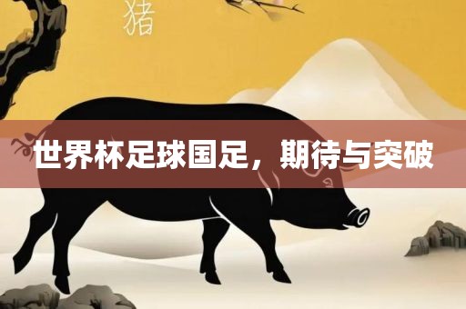 世界杯足球国足，期待与突破