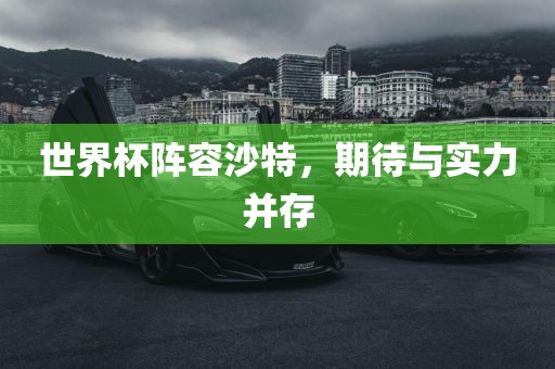 世界杯阵容沙特，期待与实力并存金炬实业股份有限公司