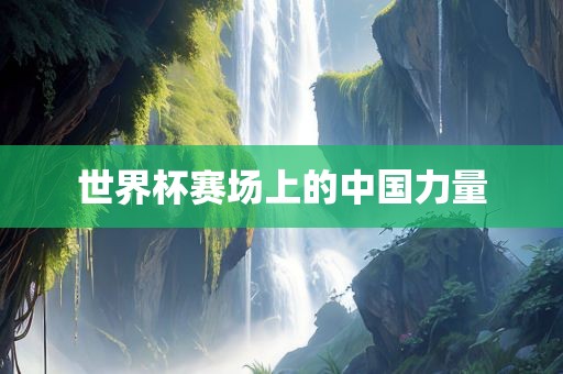 世界杯赛场上的中国力量