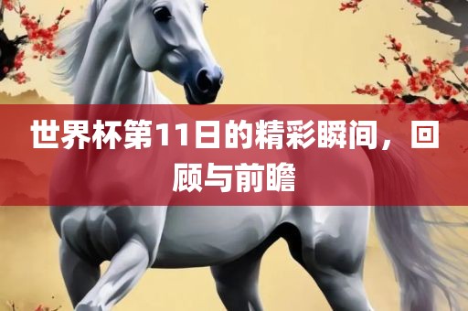 世界杯第11日的精彩瞬间，回顾与前瞻