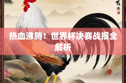 热血沸腾！世界杯决赛战报全解析