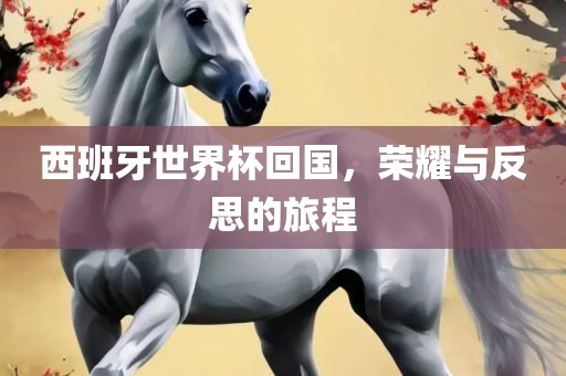 西班牙世界杯回国，荣耀与反思的旅金炬实业股份有限公司程