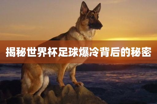 揭秘世界杯足球爆冷背后的秘密