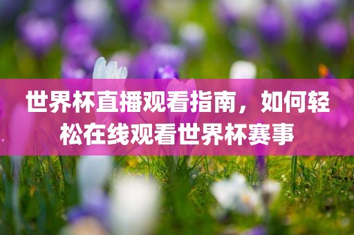 世界杯直播观看指南，如何轻松在线观看世界杯赛事