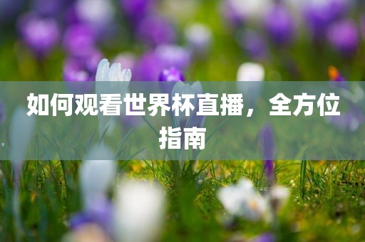 如何观看世界杯直播，全方位指南