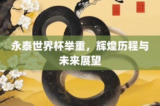 永泰世界杯举重，辉煌历程与未来展望金炬实业股份有限公司