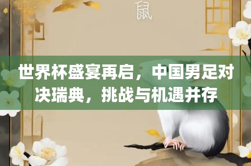 世界杯盛宴再启，中国男足对决瑞典，挑战与机遇并存金炬实业股份有限公司