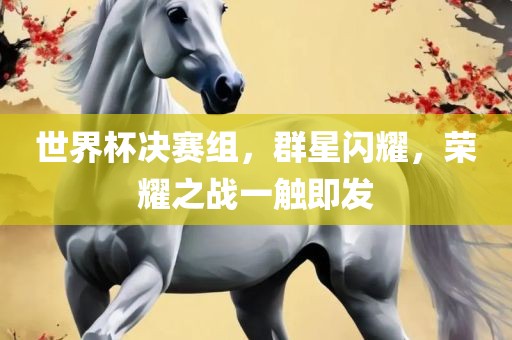 世界杯决赛组，群星闪耀，荣耀之战一触即发