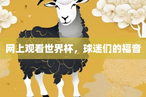 网上观看世界杯，球迷们的福音金炬实业股份有限公司