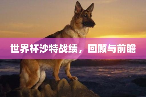 世界杯沙特战绩，回顾与前瞻