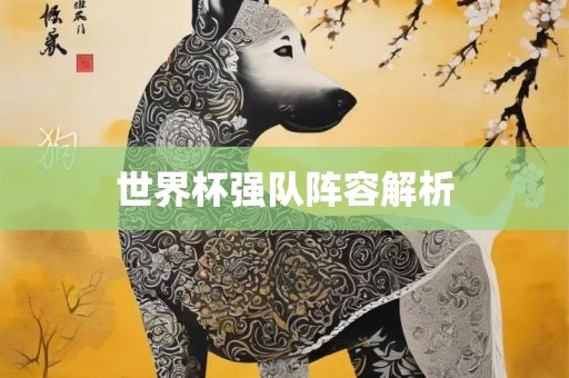 世界杯强队阵容解析
