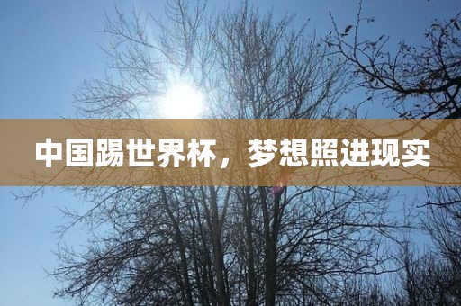 中国踢世界杯，梦想照进现实