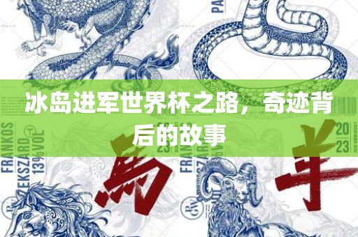 冰岛进军世界杯之路，奇迹背后的故事