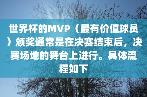 世界杯的MVP（最有价值球员）颁奖通常是在决赛结束后，决赛场地的舞台上进行。具体流程如下金炬实业股份有限公司
