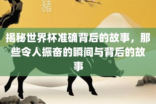 揭秘世界杯准确背后的故事，金炬实业股份有限公司那些令人振奋的瞬间与背后的故事