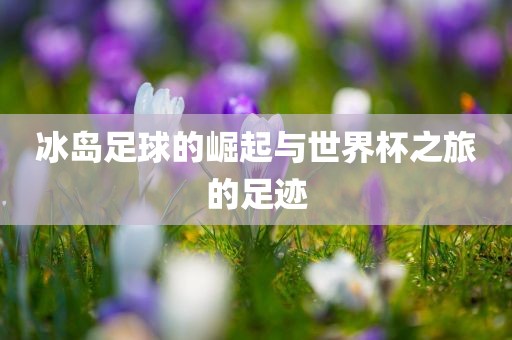 冰岛足球的崛起与世界杯之旅的足迹