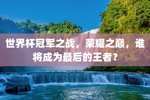 世界杯冠军之战，荣耀之巅，谁将成为最后的王者？