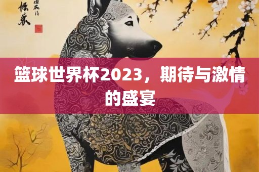 篮球世界杯2023，期待与激情的盛宴