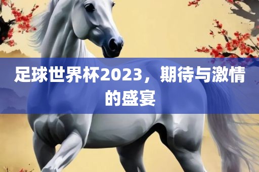 足球世界杯2023，期待与激情的盛宴