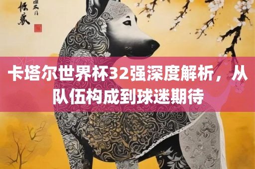 卡塔尔世界杯32强深度解析，从队伍构成到球迷期待