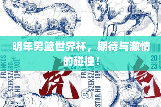 明年男篮世界杯，期待与激情的碰撞！