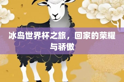 冰岛世界杯之旅，回家的荣耀与骄傲