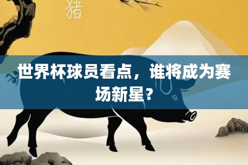 世界杯球员看点，谁将成为赛场新星？金炬实业股份有限公司