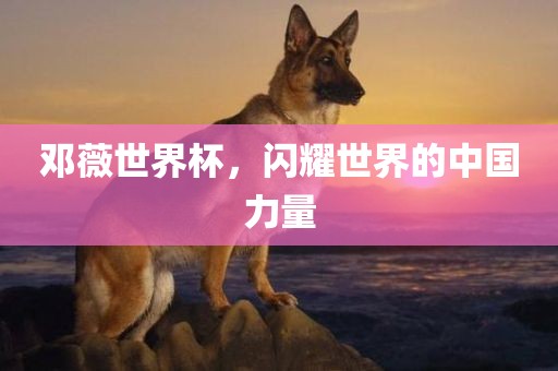 邓薇世界杯，闪耀世界的中国力量