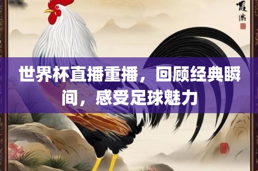 世界杯直播重播，回顾经典瞬间，感受足球魅力金炬实业股份有限公司