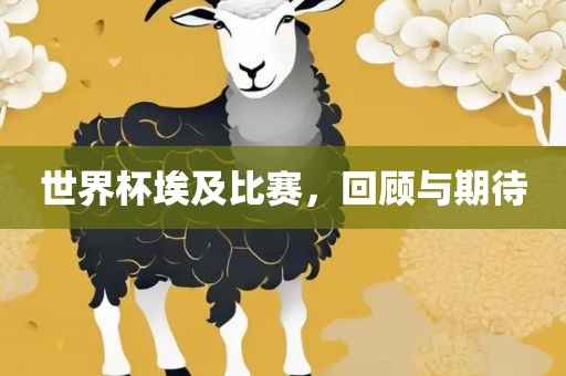 世界杯埃及比赛，回顾与期待
