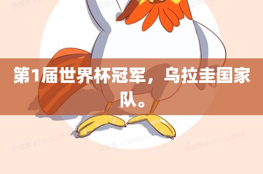 第1届世界杯冠军，乌拉圭国家队。