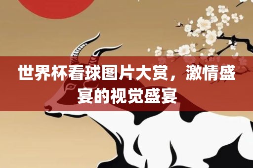 世界杯看球图片大赏，激情盛宴的视觉盛宴